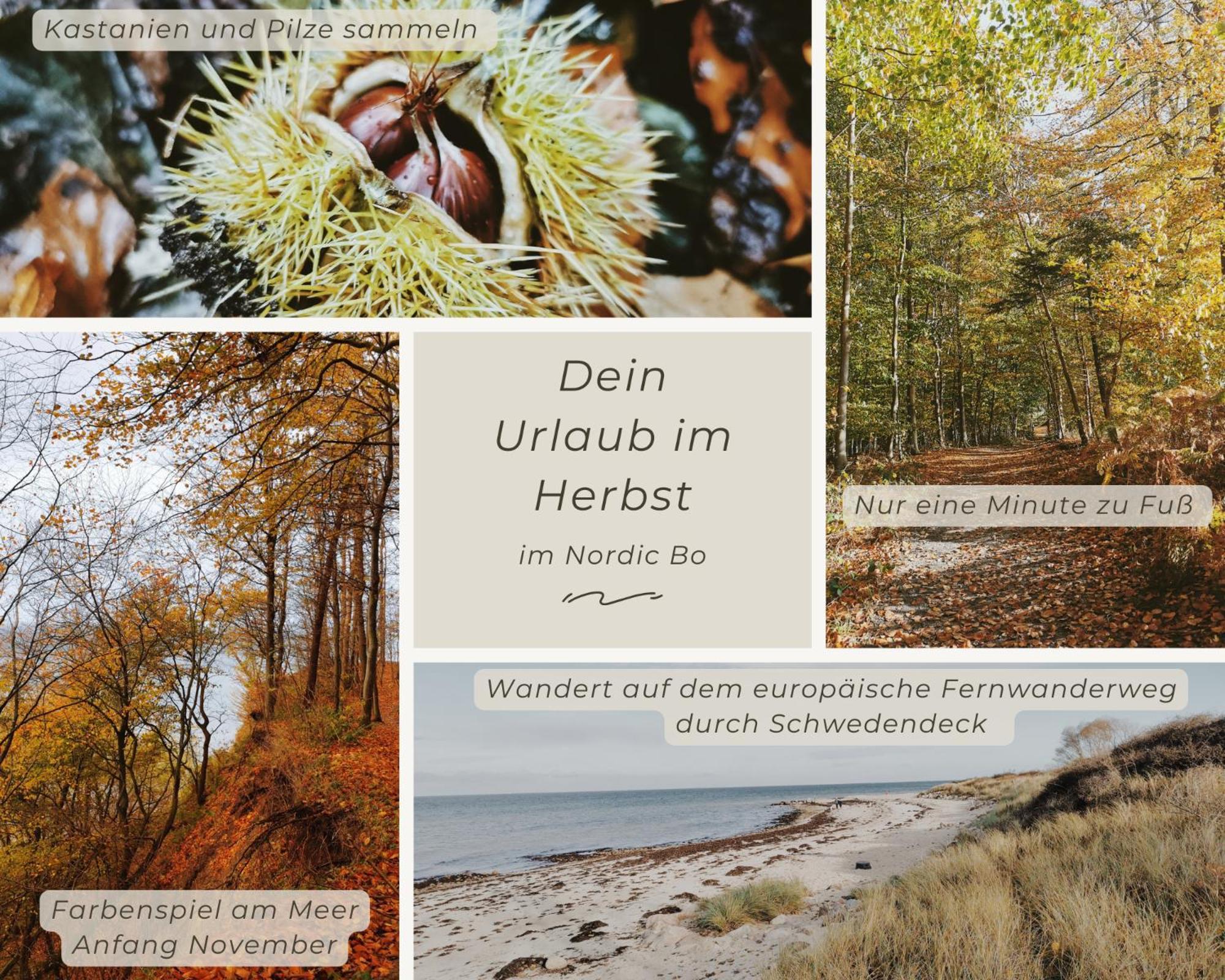 Nordic Bo -Wellen Wald Und Wilde Kueste- Strandnahe Doppelhaushaelfte Mit Waldterrasse Surendorf Ngoại thất bức ảnh